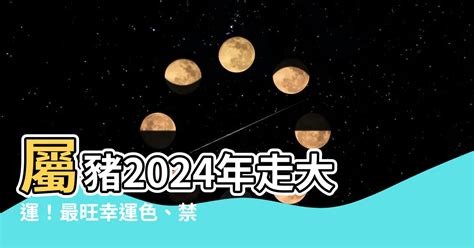 1971豬幸運色|2024屬豬幾歲、2024屬豬運勢、屬豬幸運色、財位、禁忌